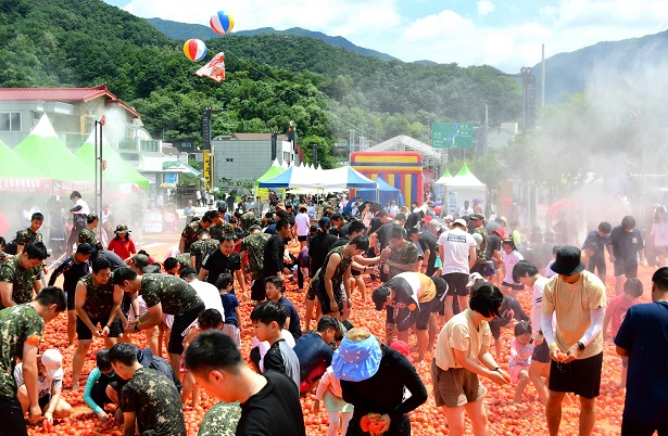 화천 토마토 축제