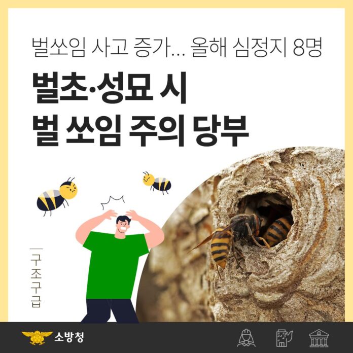 벌 쏘임