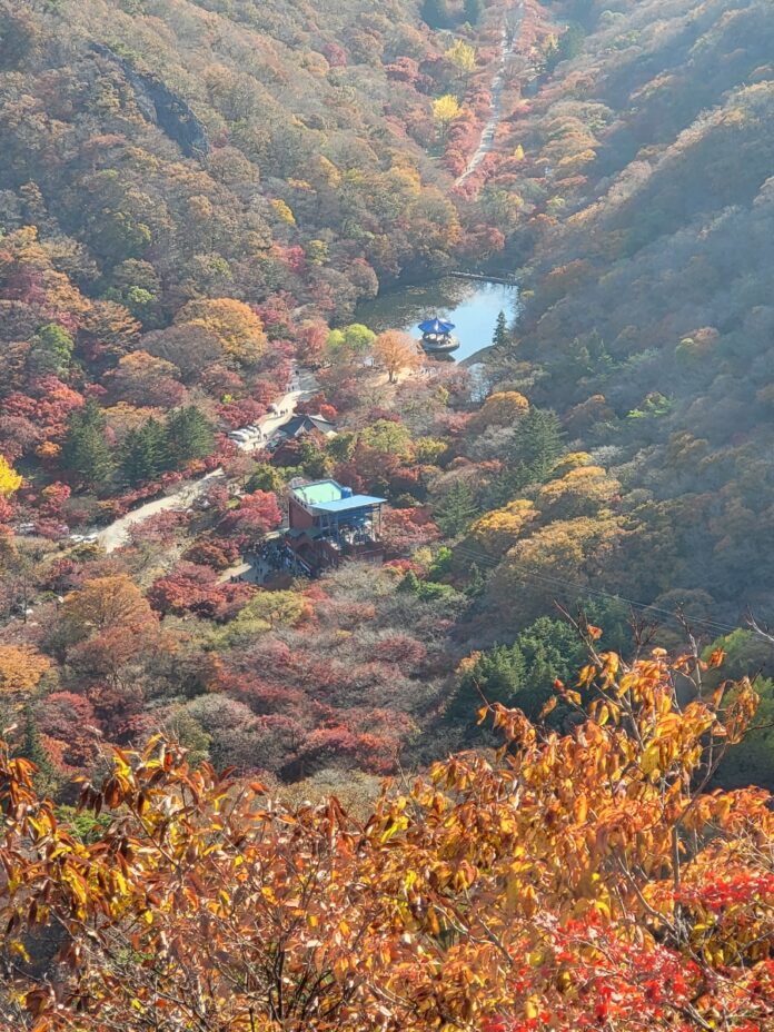 단풍놀이 단풍철